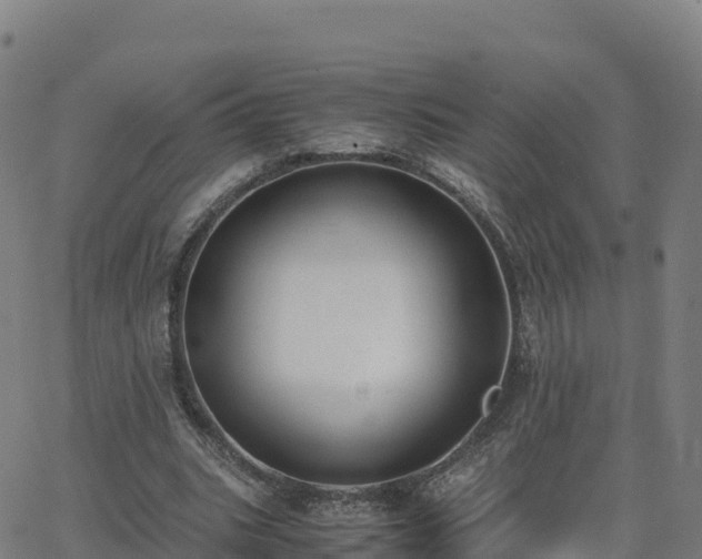 X0000062670535200512230949