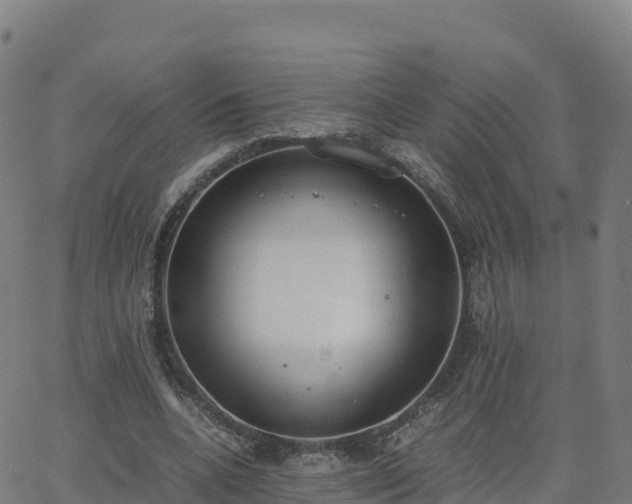 X0000062670536200512230949