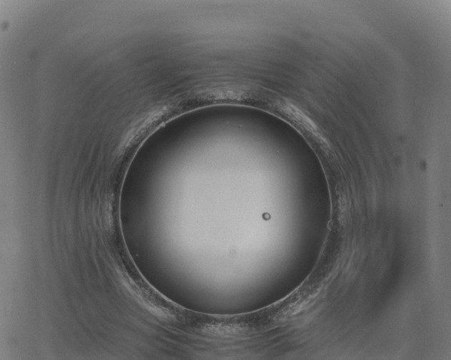 X0000062670537200512230949