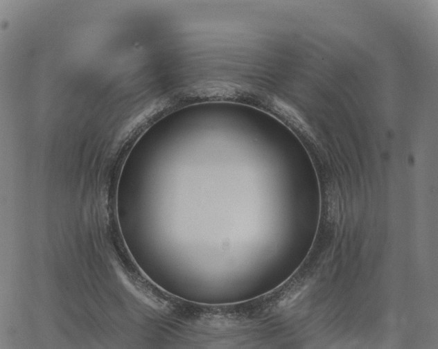 X0000062670538200512230949