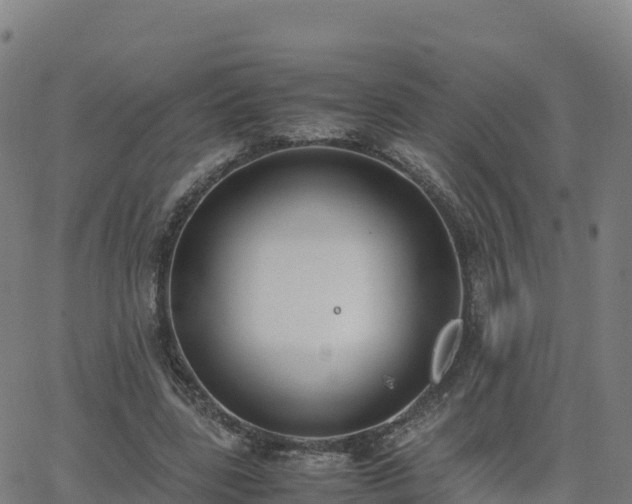 X0000062670539200512230949