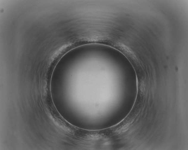 X0000062670540200512230949