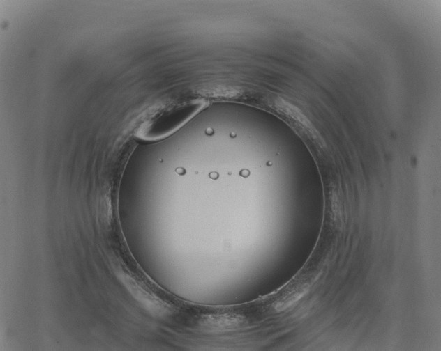 X0000062670541200512230949