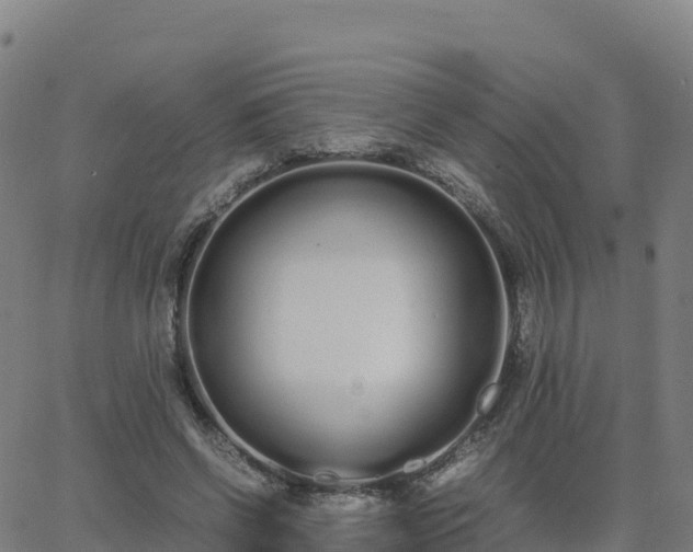 X0000062670542200512230949