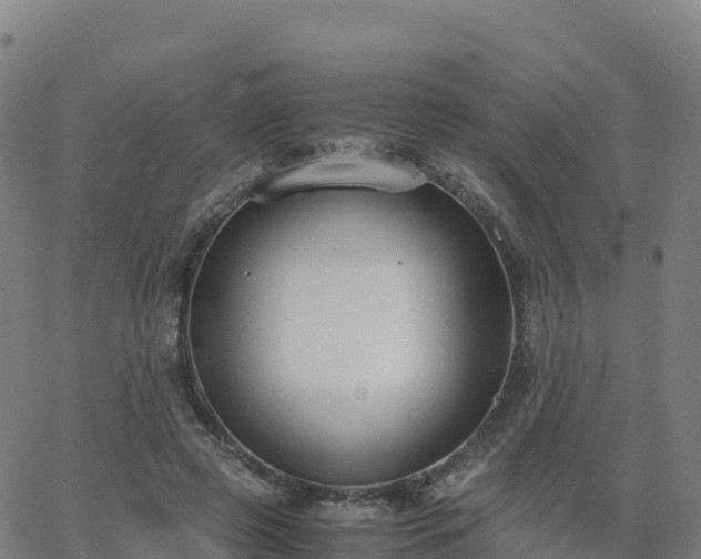 X0000062670545200512230949