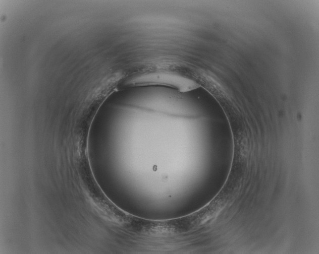 X0000062670546200512230949