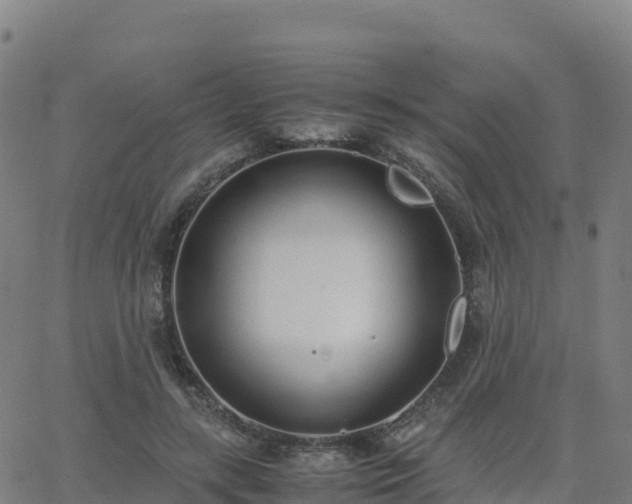 X0000062670547200512230949