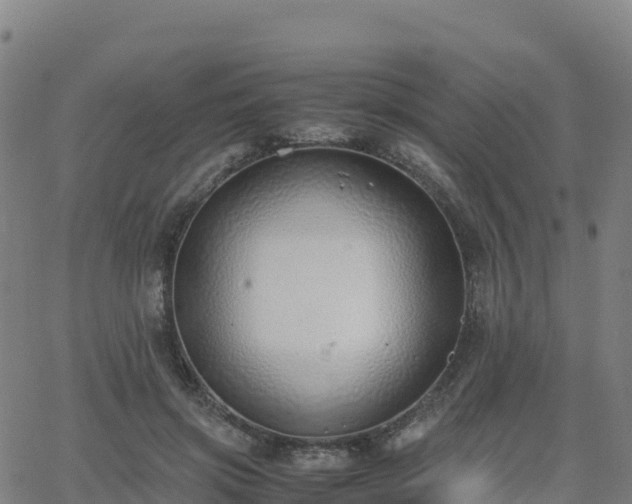 X0000062670549200512230949