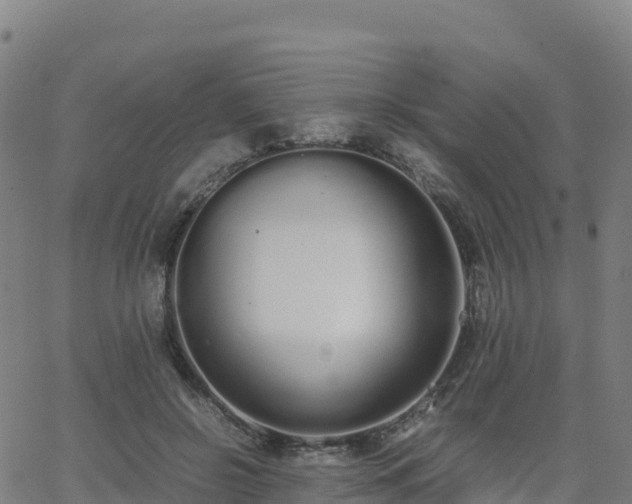 X0000062670550200512230949