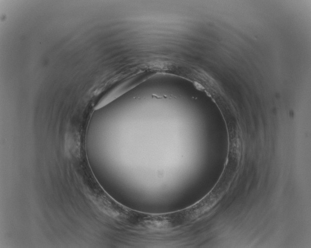 X0000062670552200512230949