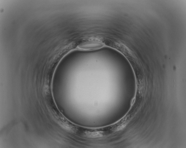 X0000062670553200512230949