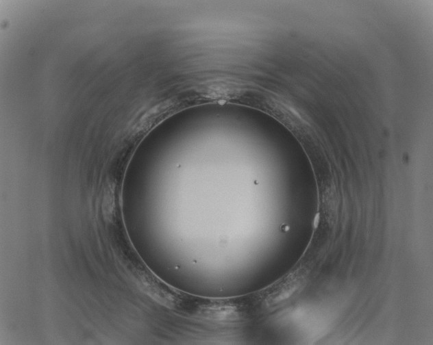 X0000062670554200512230949