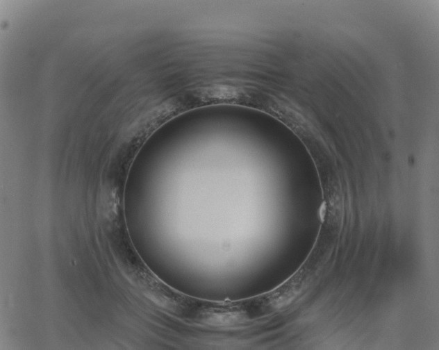 X0000062670555200512230949