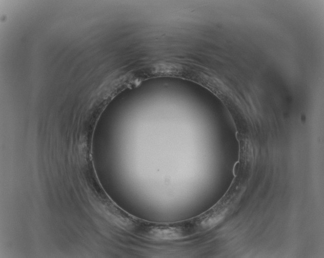 X0000062670557200512230949