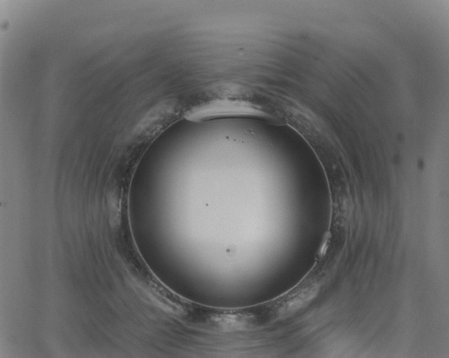 X0000062670558200512230949