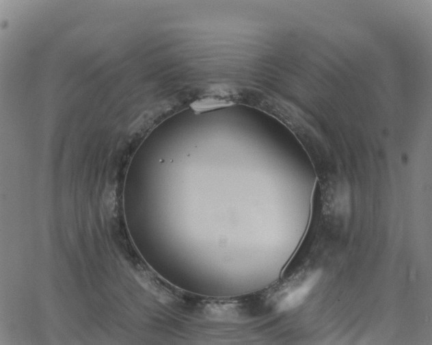 X0000062670560200512230949