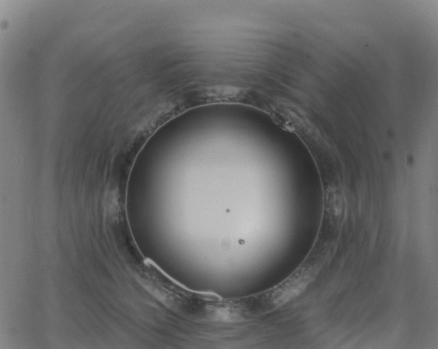 X0000062670564200512230949