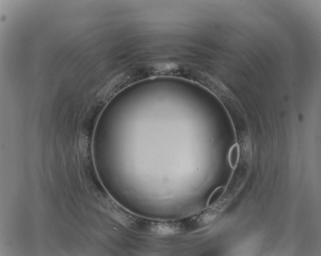 X0000062670565200512230949