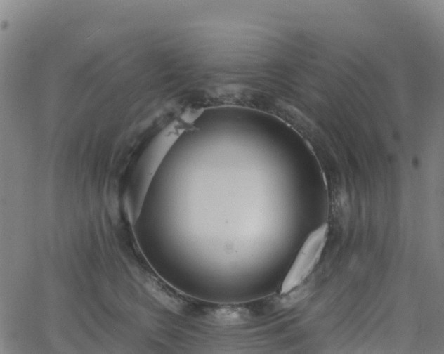 X0000062670566200512230950