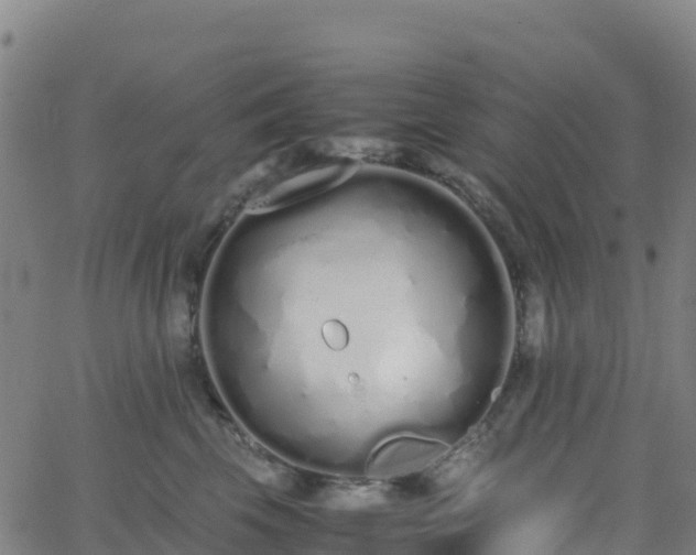 X0000062670569200512230950