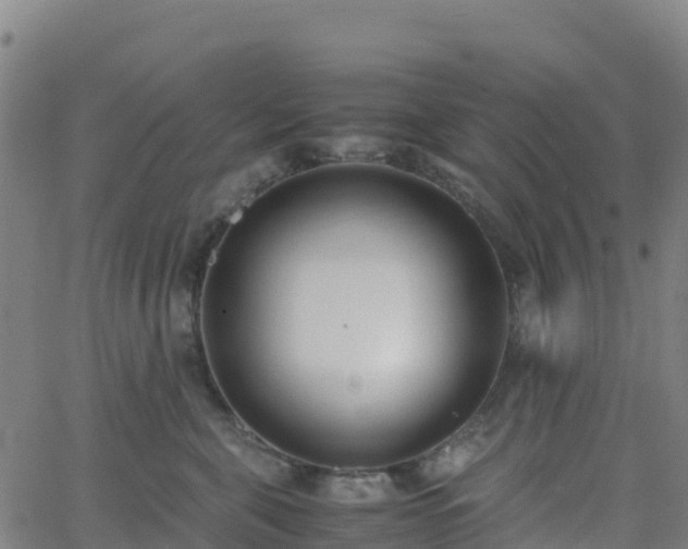 X0000062670571200512230950