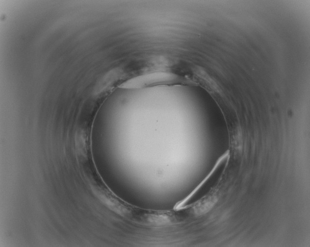 X0000062670572200512230950