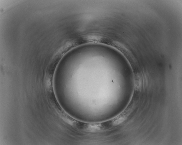 X0000062670573200512230950