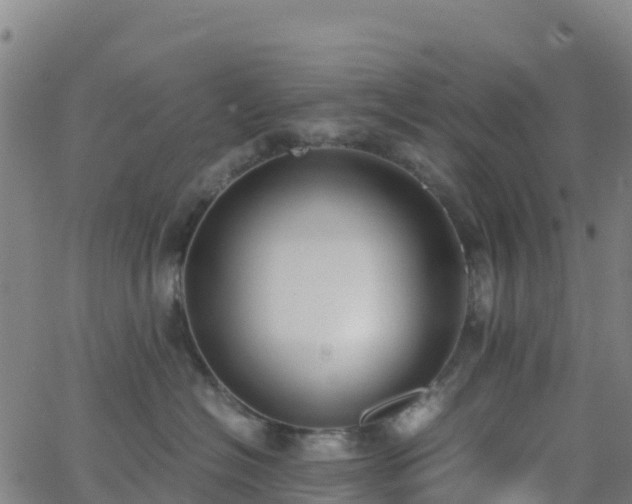 X0000062670574200512230950