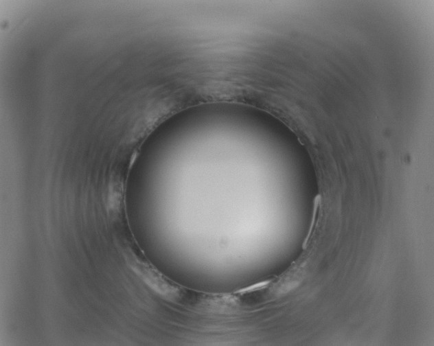 X0000062670576200512230950