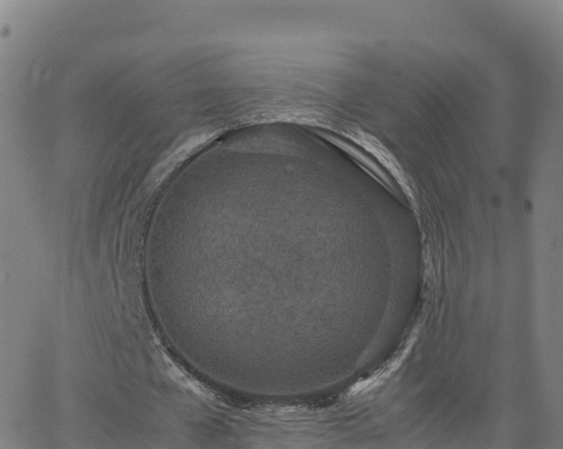 X0000062670577200512230949