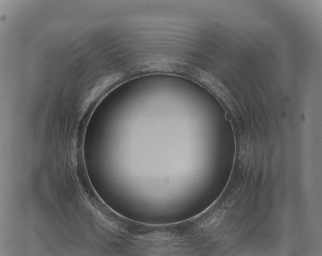 X0000062670578200512230949