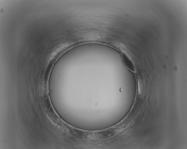 X0000062670579200512230949