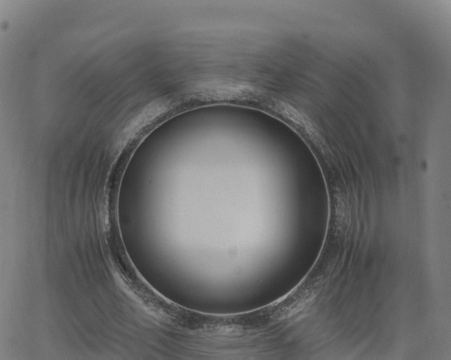 X0000062670582200512230949