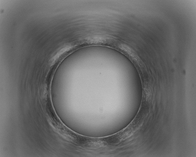 X0000062670583200512230949