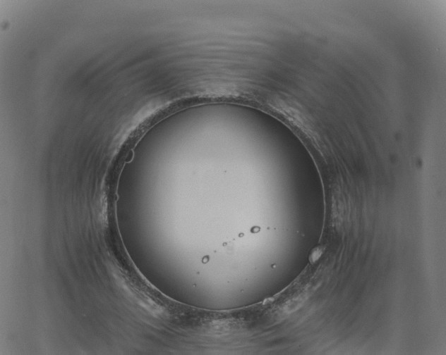 X0000062670584200512230949