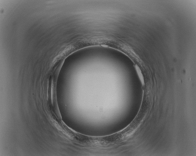 X0000062670585200512230949