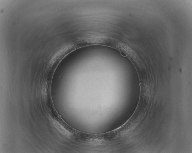 X0000062670586200512230949