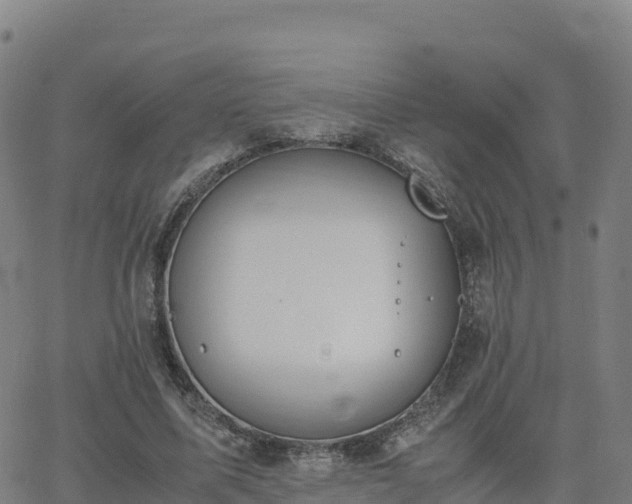 X0000062670587200512230949