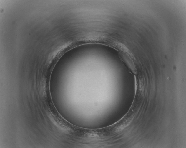 X0000062670588200512230949