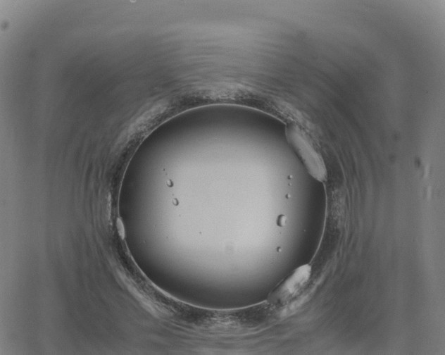 X0000062670589200512230949