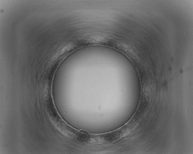 X0000062670591200512230949