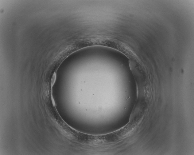 X0000062670593200512230949