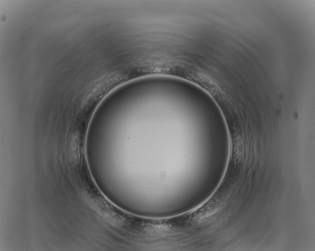 X0000062670594200512230949