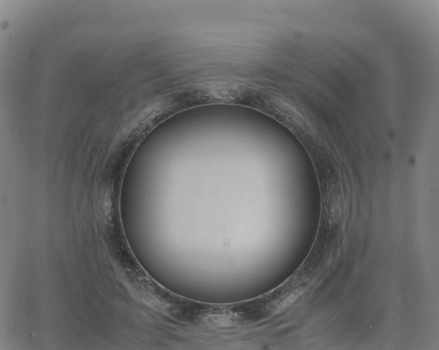 X0000062670595200512230949