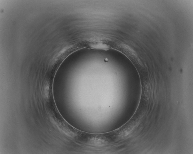 X0000062670596200512230949