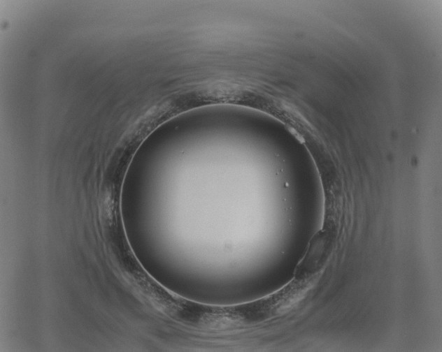 X0000062670597200512230949