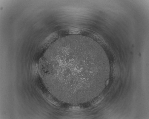 X0000062670598200512230949