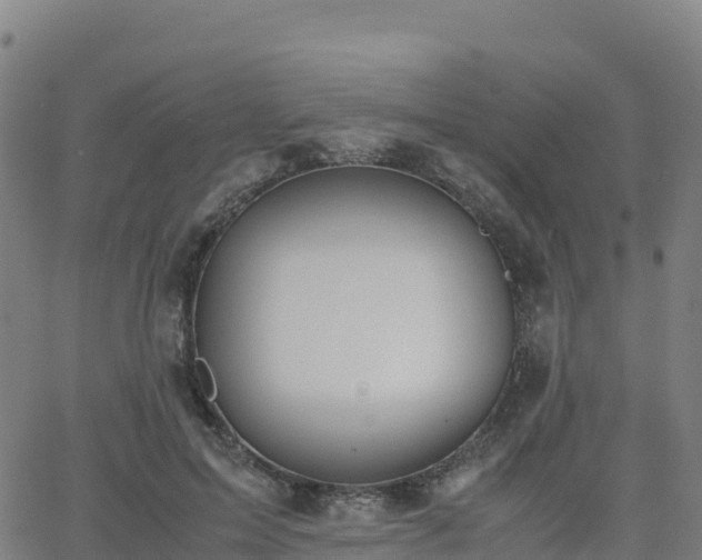 X0000062670599200512230949