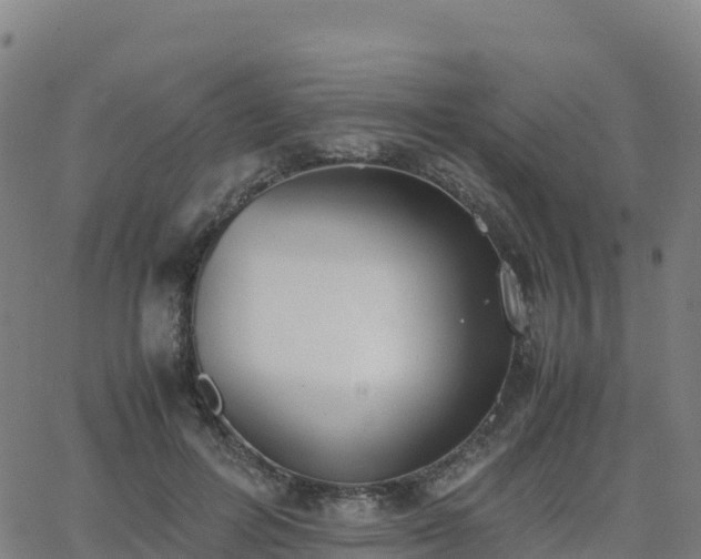 X0000062670600200512230949