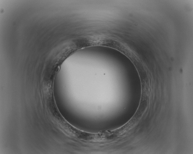 X0000062670601200512230948